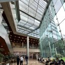 [잡문] 소소한 일상의 편린 이미지