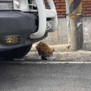 싼타세탁 이미지