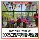 🌹2025고양국제꽃박람회🌹 다양한 컨셉과 스토리를 담은 행사장 관람 후기