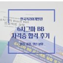 [자격증] 6시그마 Black Belt 프로젝트 과정 후기, 합격팁_ 품질, 공정, 생산 직무