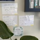 다온그루밍 이미지