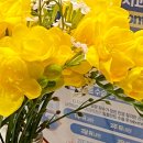 남천바른생각치과의원 이미지