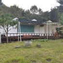 로키공인중개사사무소 이미지