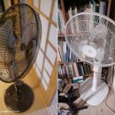 신일전파사