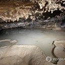 산호동509 이미지