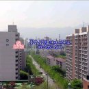 윤택공인중개사사무소 이미지