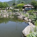 경강로111 티스토리