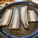 보약장어왕메기 거창점 | 거창 보약장어왕메기, 온천수 무항생제 장어로 몸보신 제대로!