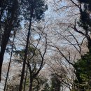 월명1길 이미지