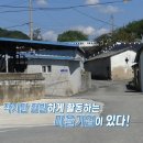 정문희망마을 이미지