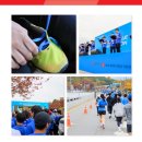 미성의료재단 아름다운병원 | [롯데의료재단] 파란 끈을 묶고 함께 달린 '2025 슈퍼블루마라톤' 후기