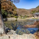 바람결-시간의 흐름 | 12월 초 진도 여행 – 운림산방, 쌍계사, 신비의 바닷길과 진도항에서 만난 겨울 풍경