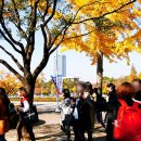 영남대학교자연박물관 네이버블로그