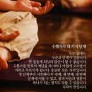 샨띠 네이버블로그