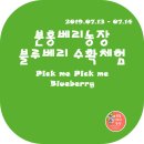 픽미베리