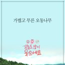 2024-09-06오늘의 발심 by "가볍고 무른 오동나무 " 이미지