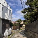 보석어묵 CAFE | 도쿄, 가마쿠라┃3. 고토쿠인/ 가마쿠라 대불/ 하세역/ 가마쿠라 우동 타마 우사기/ 에노시마 푸딩/ 문...