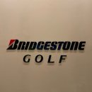 더마블골프스튜디오 이미지