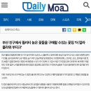 더칼라 이미지