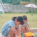 평사리85-7