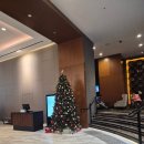 바디녹스짐 | 시드니 숙소| 하버 메리어트 호텔 앳 서큘러키 솔직 후기 (Feat.크리스마스 시즌)