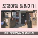 동백꽃필무렵 성지순례 (셰리미용실 / 까멜리아 / 백두게장 / 까불이잡던곳 / 포스터촬영계단...