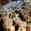 하늘땅바람 이미지