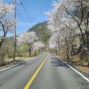 GS25원주기업캐슬점 이미지