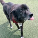 별빛쉼표 이미지