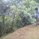 봉화주유소 이미지