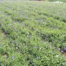 선돌농장 이미지