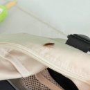 라라펜션 이미지