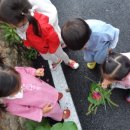 책 놀이터 나들이 이미지