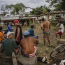 이언농장 이미지