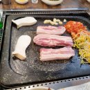 선미통돼지시지 이미지