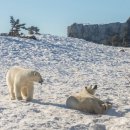 RS피트니스 이미지