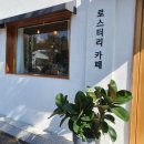 베리트케이크 | 정읍 카페) 아인슈페너는 찐맛집, 베리트 커피