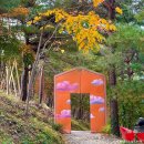 하슬라기획 | 강원도 강릉 가볼 만한 곳, 겨울에 아이와 가기 좋은 하슬라아트월드 이용 후기
