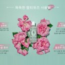 스킨필로우