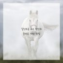 프리샤산부인과의원 이미지