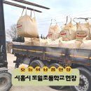 도일초등학교 이미지