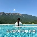 소노펠리체 델피노 | 고성 소노펠리체 델피노 인피니티풀 할인 및 후기