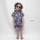 하와이언니