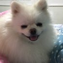 오늘도너는예쁘다 네이버블로그