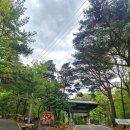 김해 | 김해 은하사 등산 후기