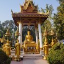 (주)문주란여행사 이미지