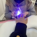 네일,벨르 이미지