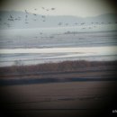 순천만 뜰 이미지