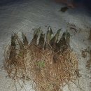 종근농장 이미지