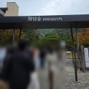 비 오는 날 화담숲 단풍 구경, 10월 가을 감성 가득한 산책 코스
